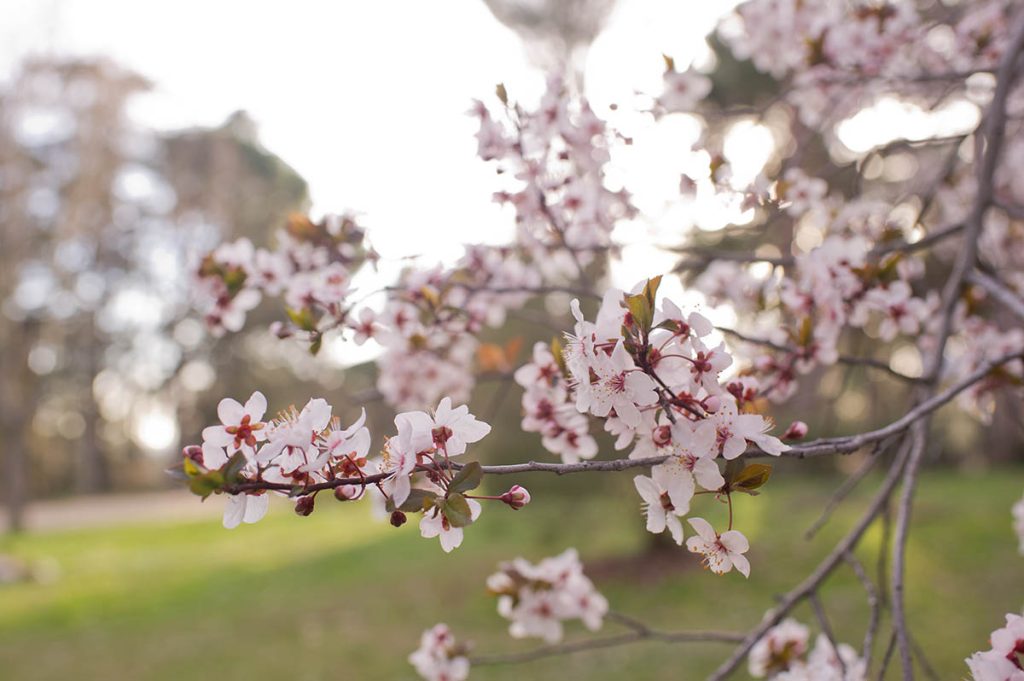 Te quiero… a mi lado